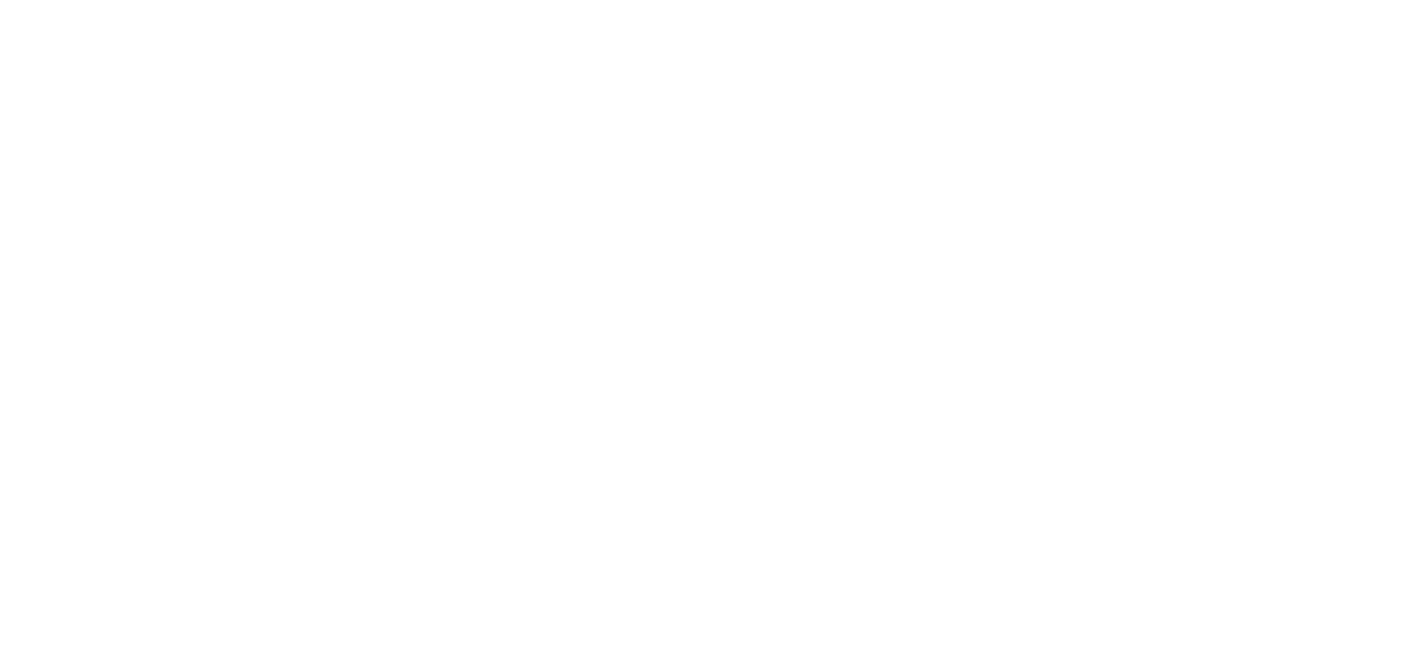 RVEH Investments